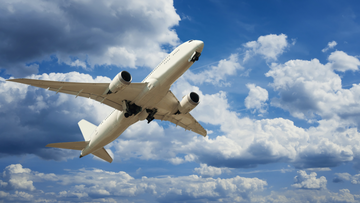¿Se puede llevar carne en el avión?